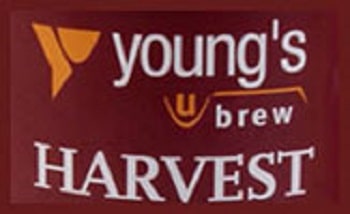 Youngs Beer Kits